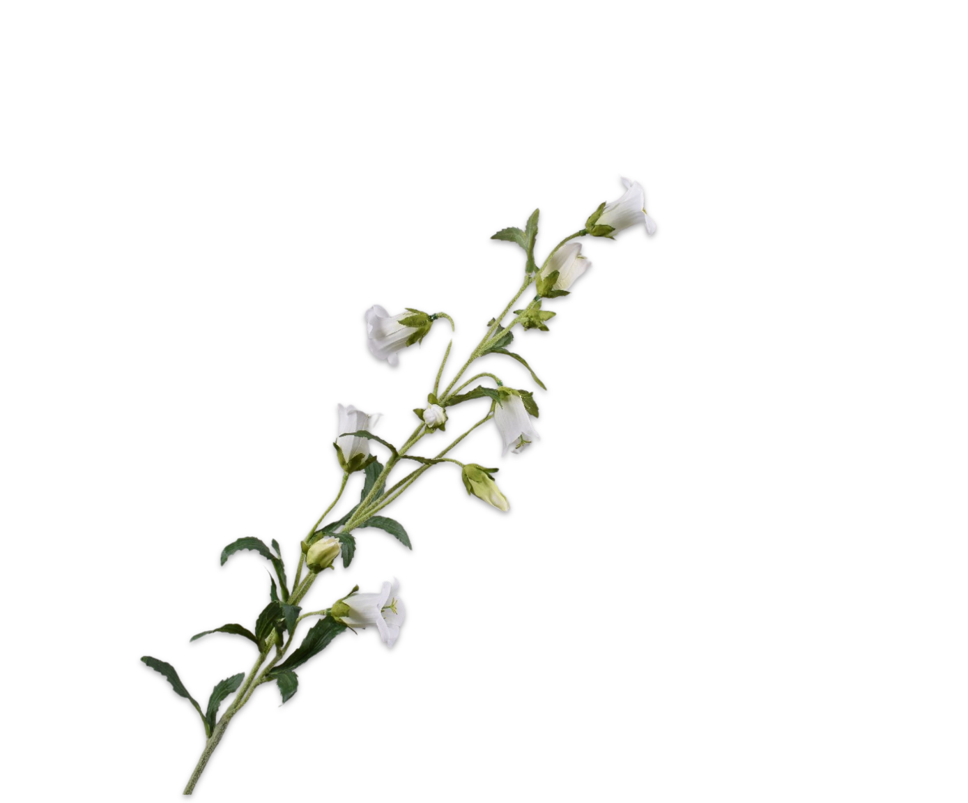 CAMPANULA ZWEIG WEIß  88 CM
