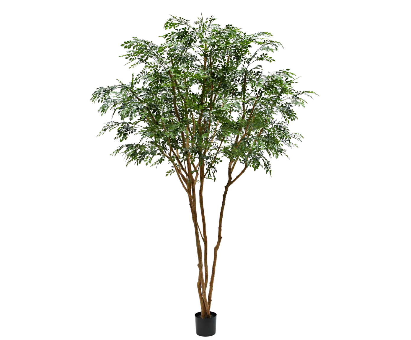 PISTACHE I/POT GROEN  330 cm