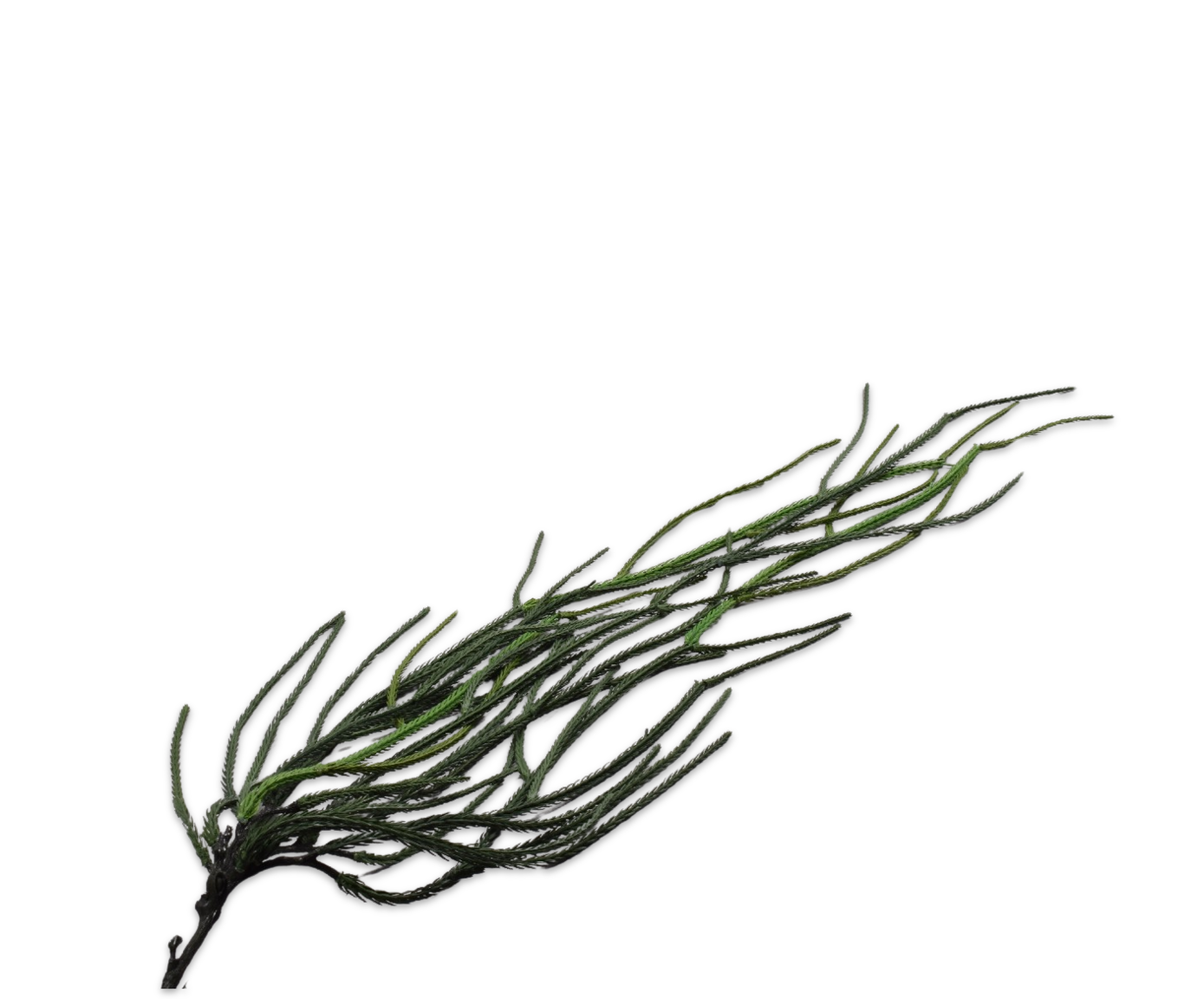 LEAF SPRAY  GREEN FR  99 CM