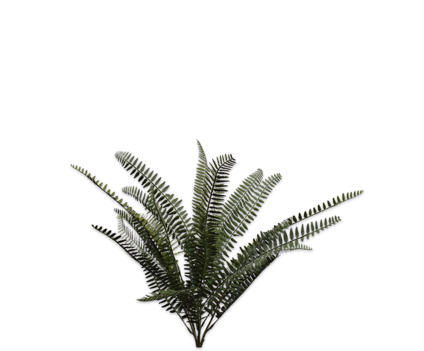 VAREN BUSH GROEN FR 63 cm