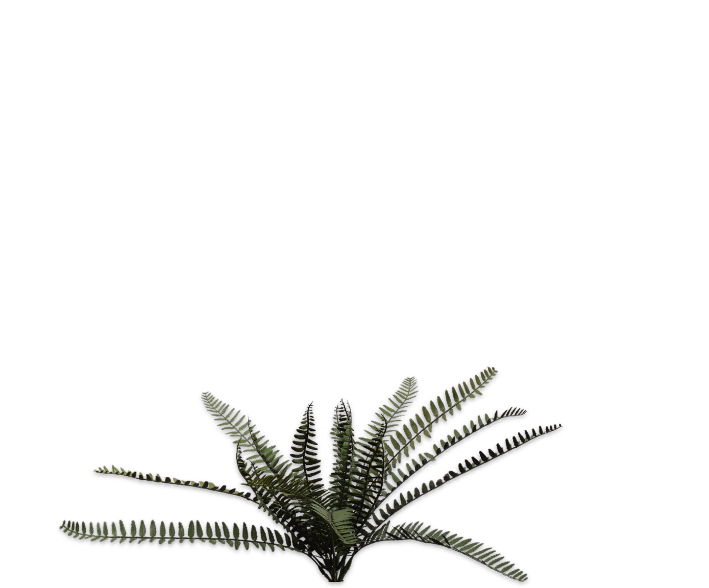 VAREN BUSH GROEN FR 42 cm