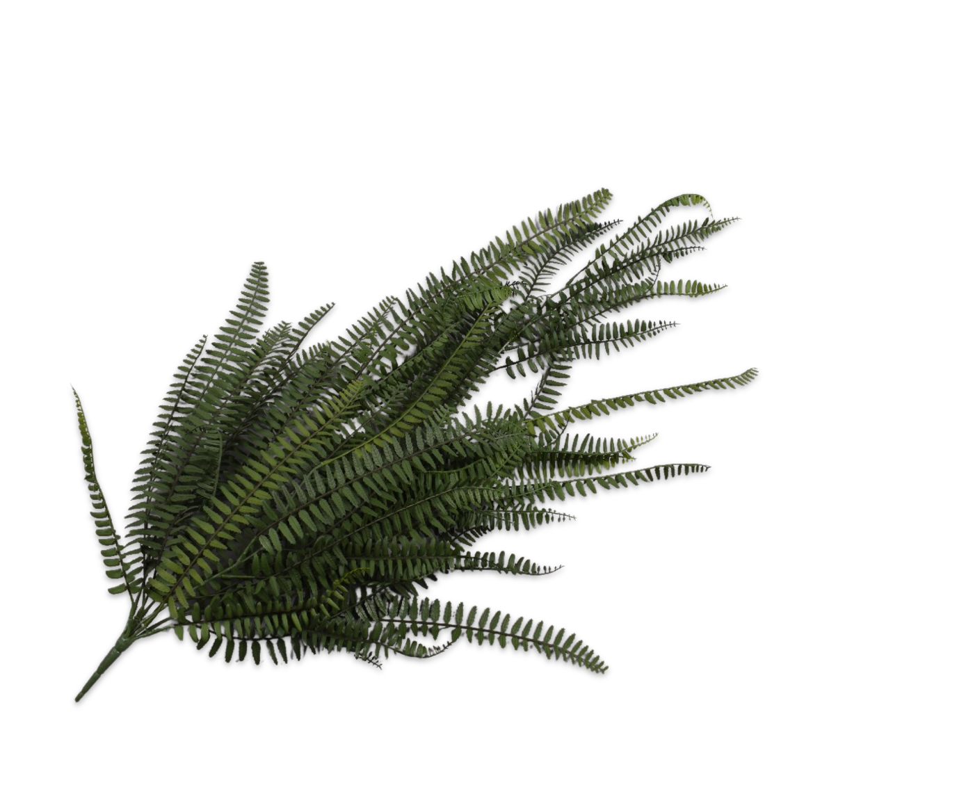 VAREN BUSH GROEN FR 86 cm