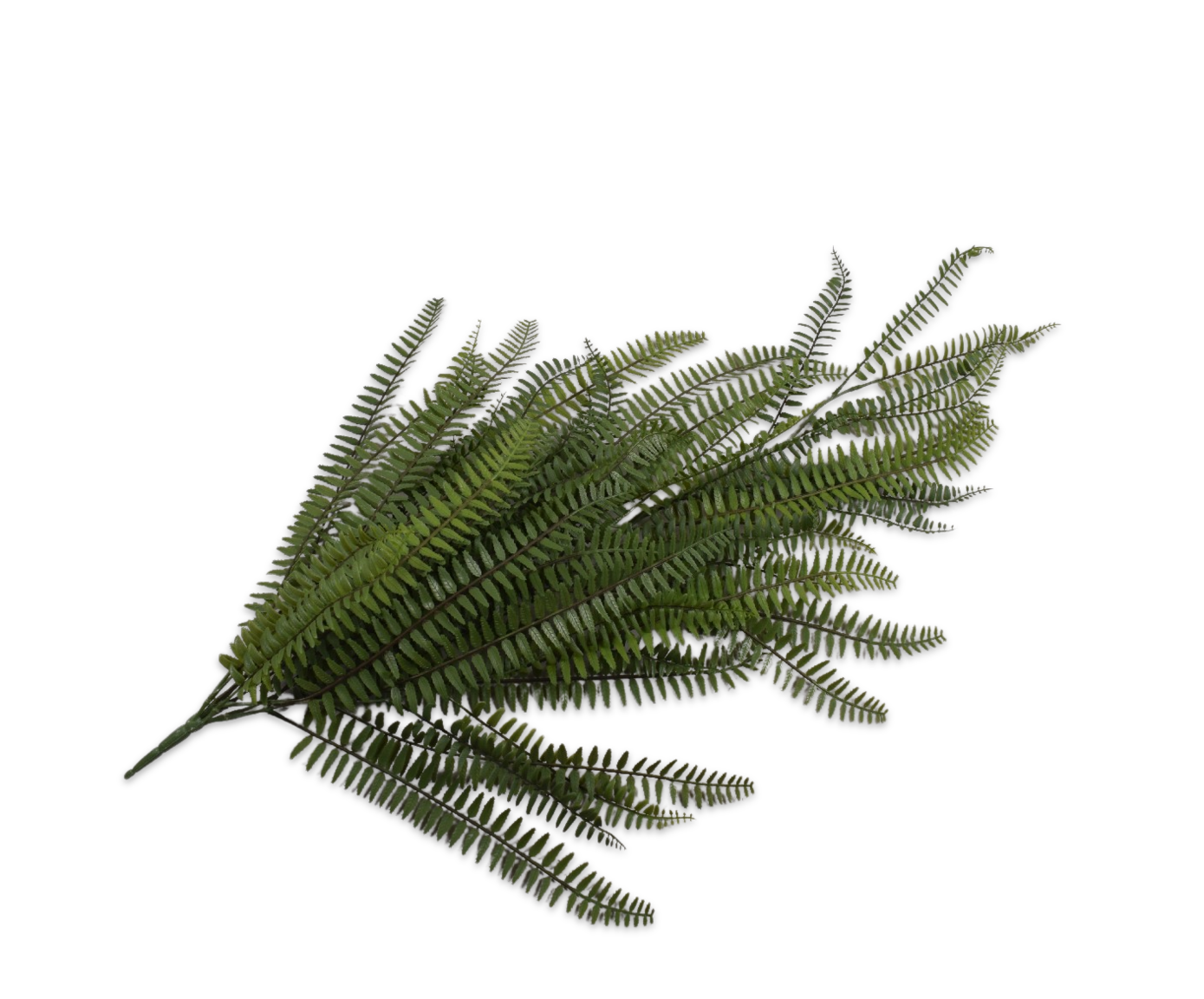 FERN BUSH GREEN  86 CM