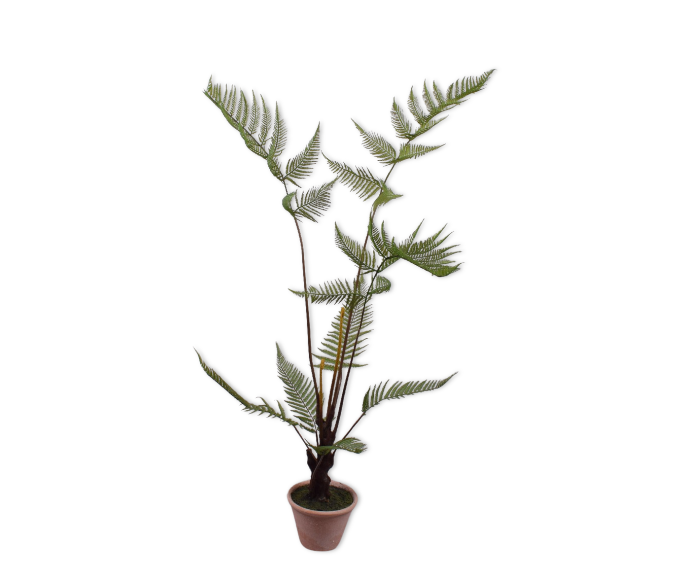 FOUGÈRE E/POT VERT  112 CM