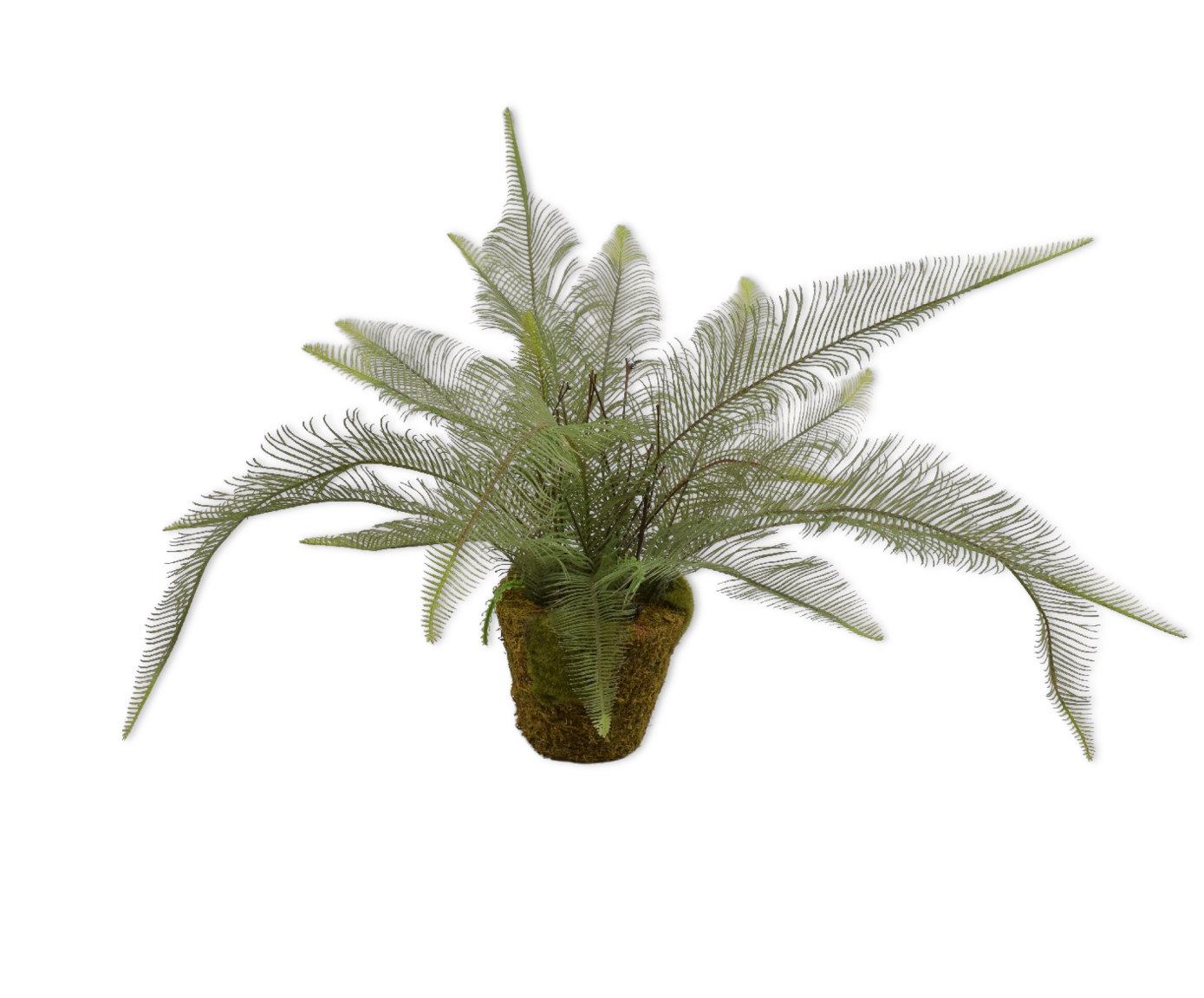 FOUGÈRE E/POT VERT  35 CM