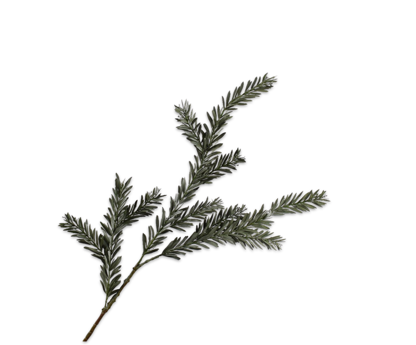 DEN TAK GRN DK  112 cm