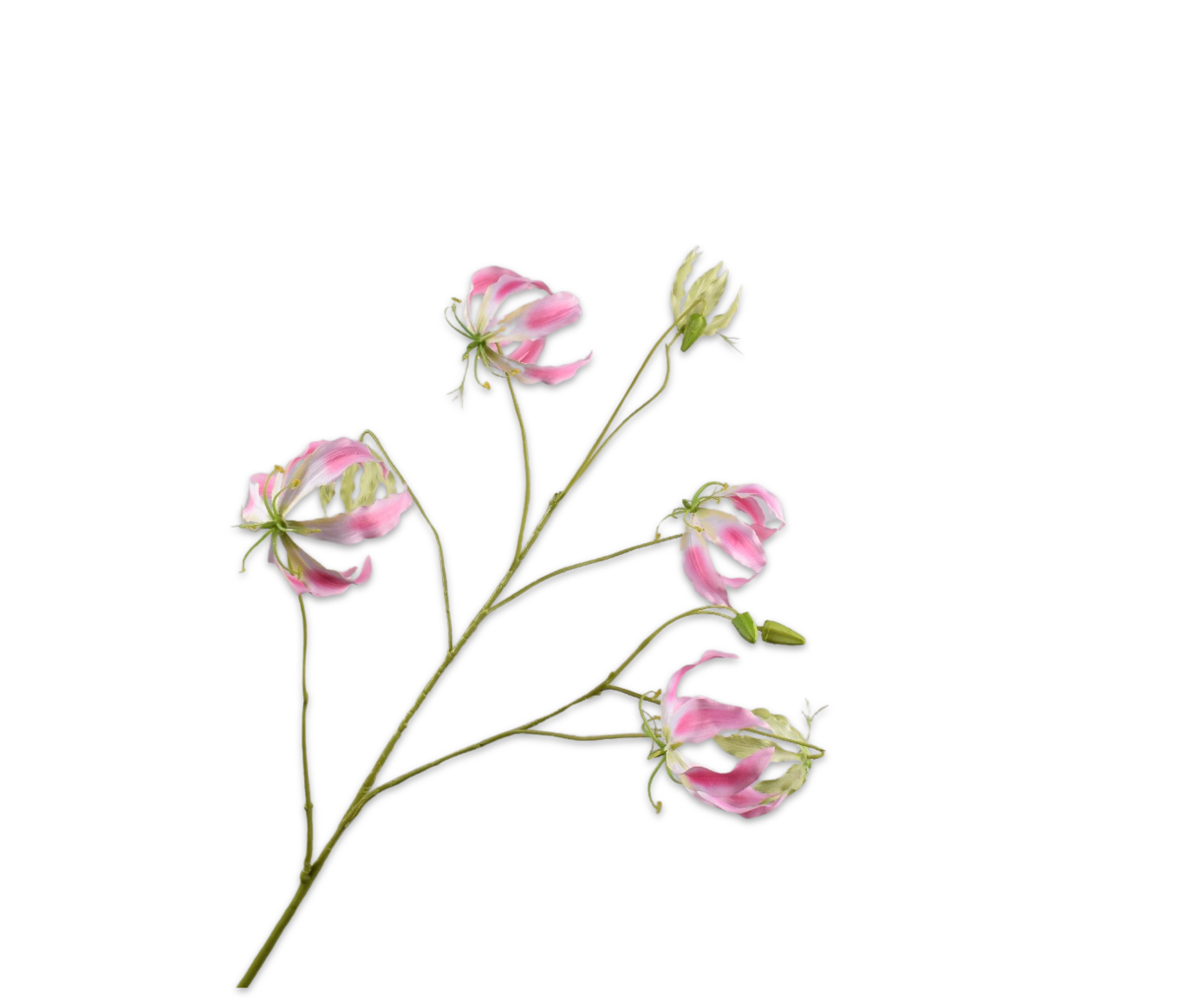 GLORIOSA RAMA ROSA  110 CM