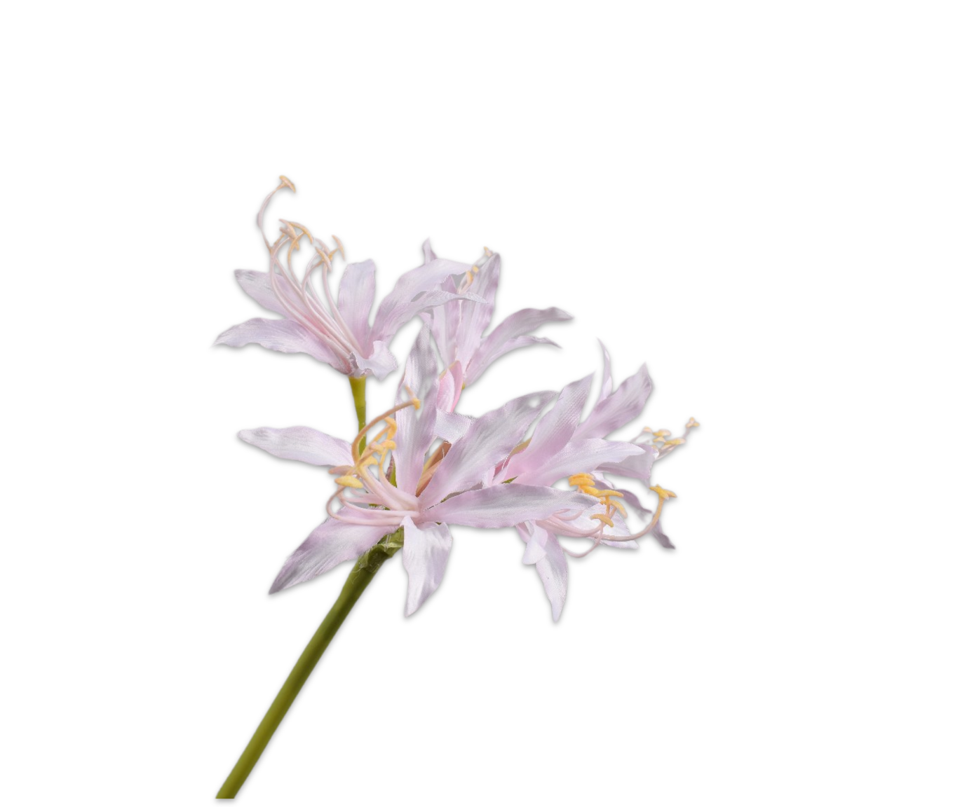 NERINE STEEL ROZE LT  100 cm