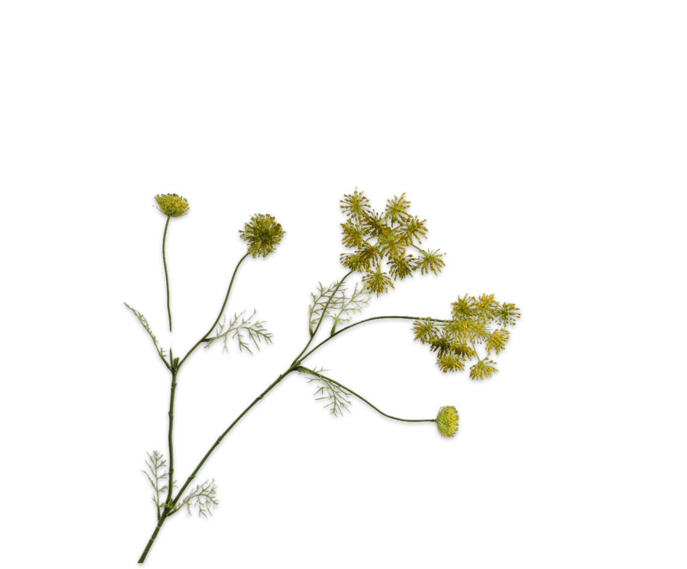 QUEEN AN LACE SPRAY YELLOW  97 CM