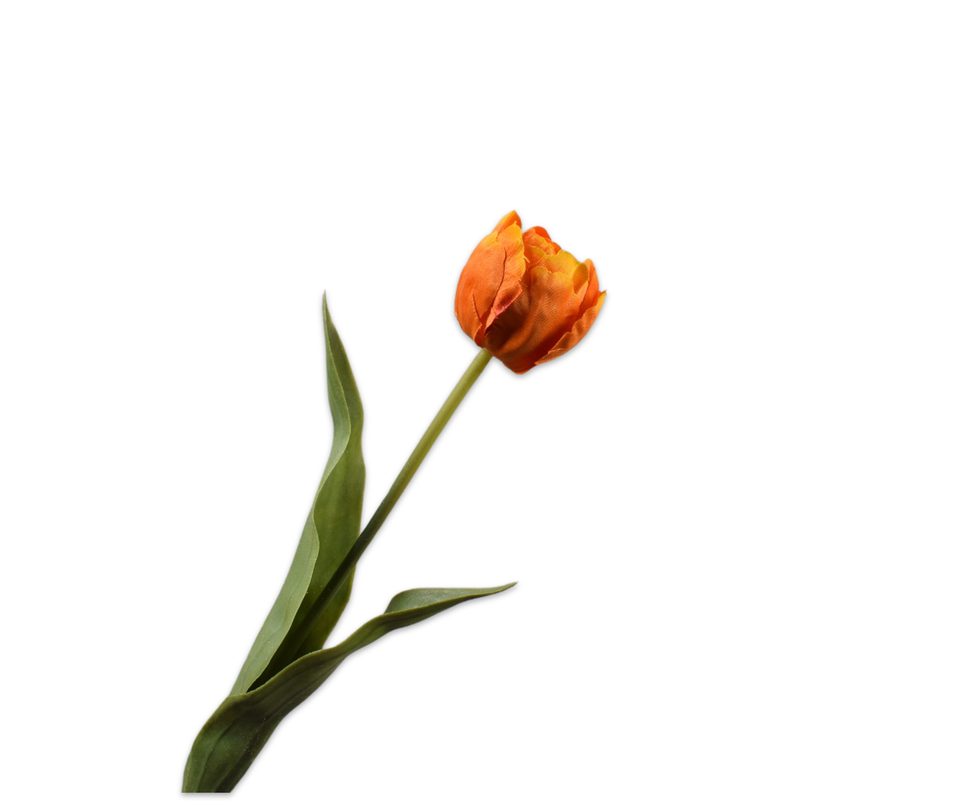 TULP STEEL ORANJE  47 cm