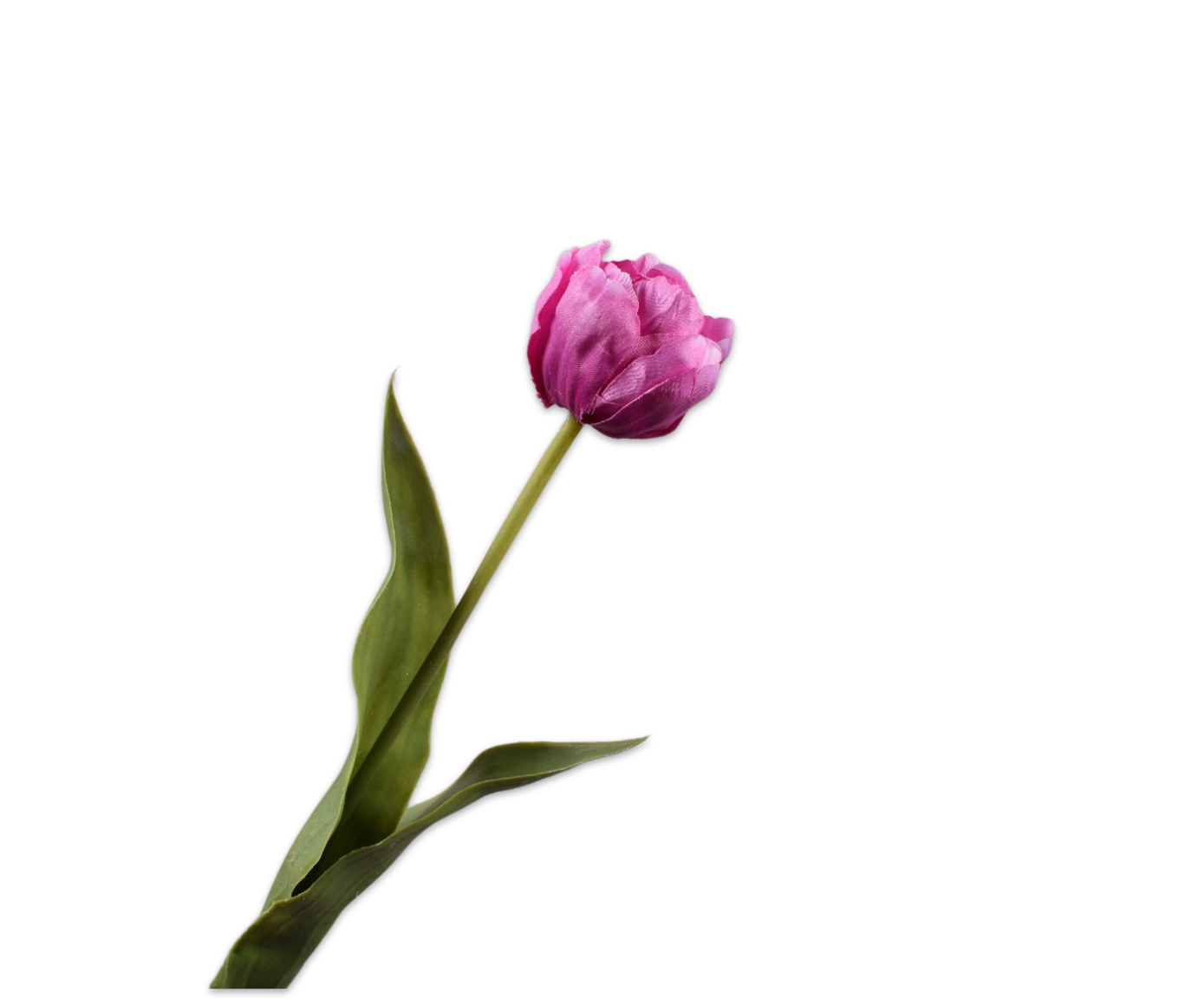 TULP STEEL PAARS  47 cm