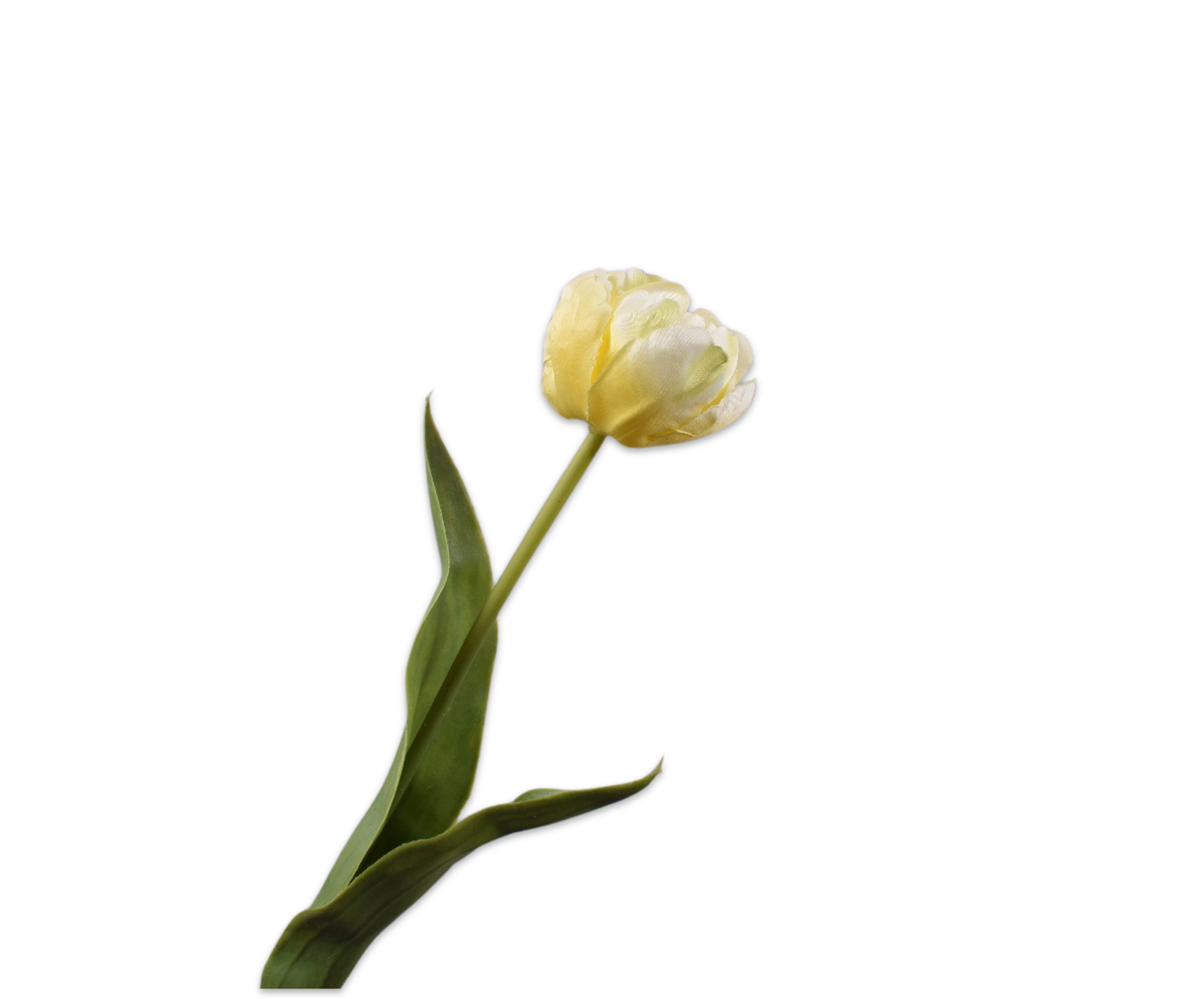 TULP STEEL GEEL LT  47 cm