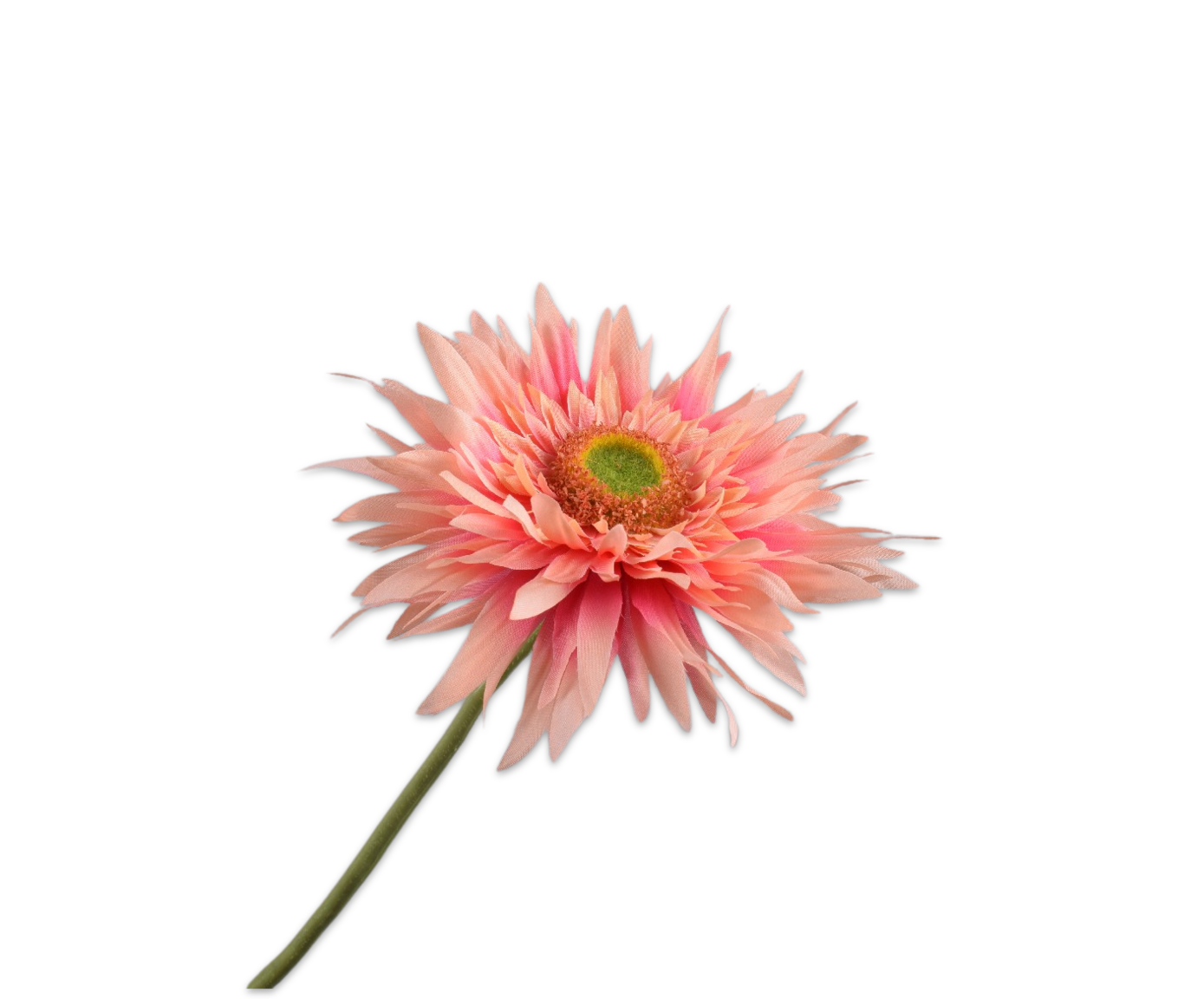 GERBERA STIEL PFIRSICH  61 CM