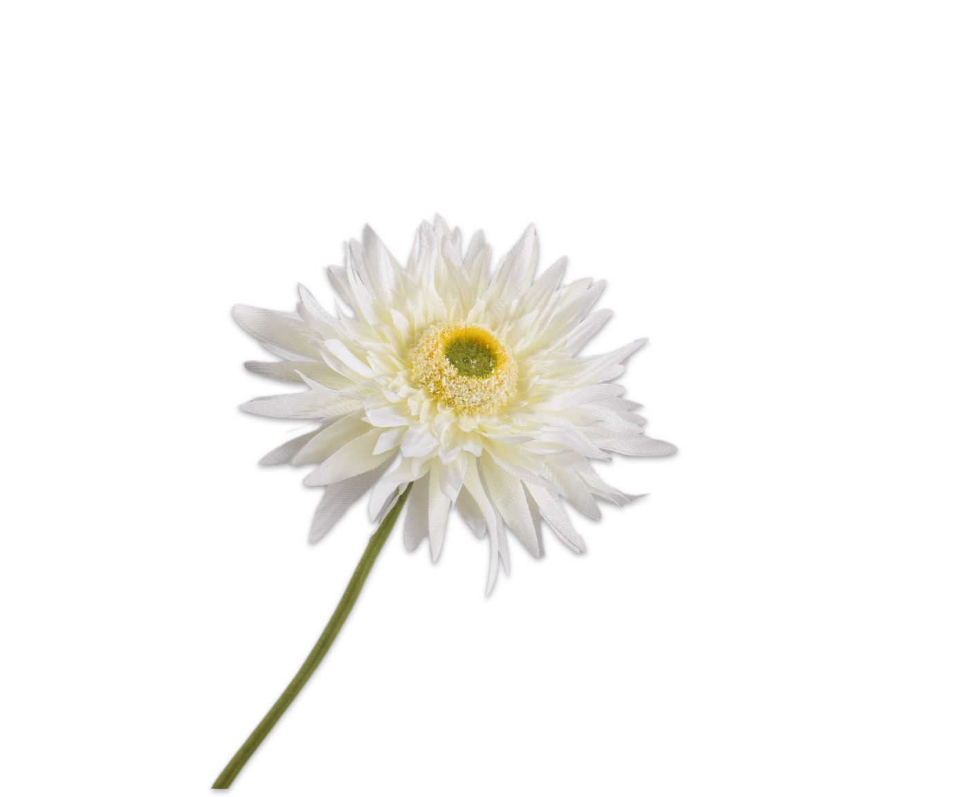 GERBERA STIEL WEIß  61 CM