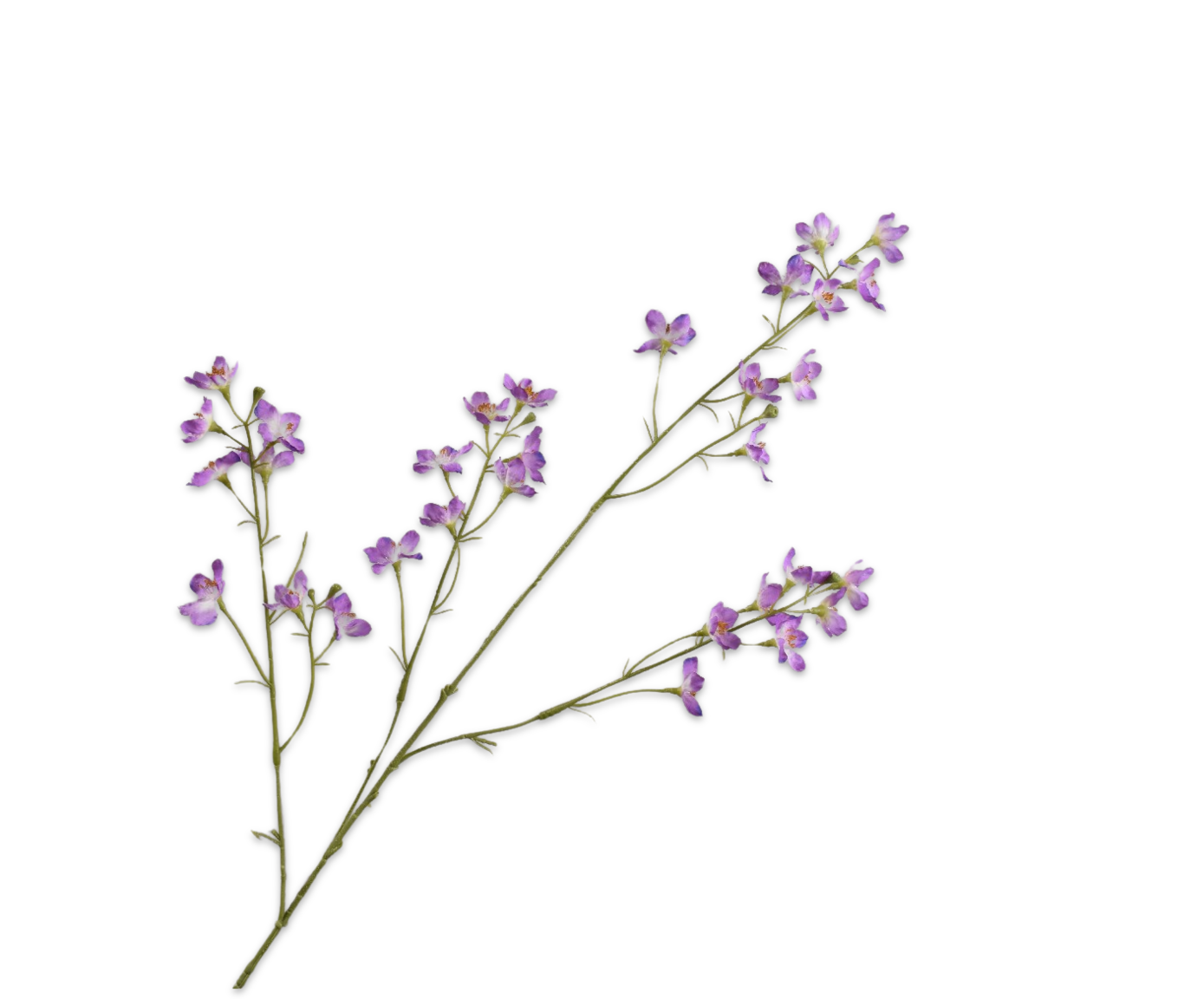 DELPHINIUM SPRAY PURPLE  81 CM