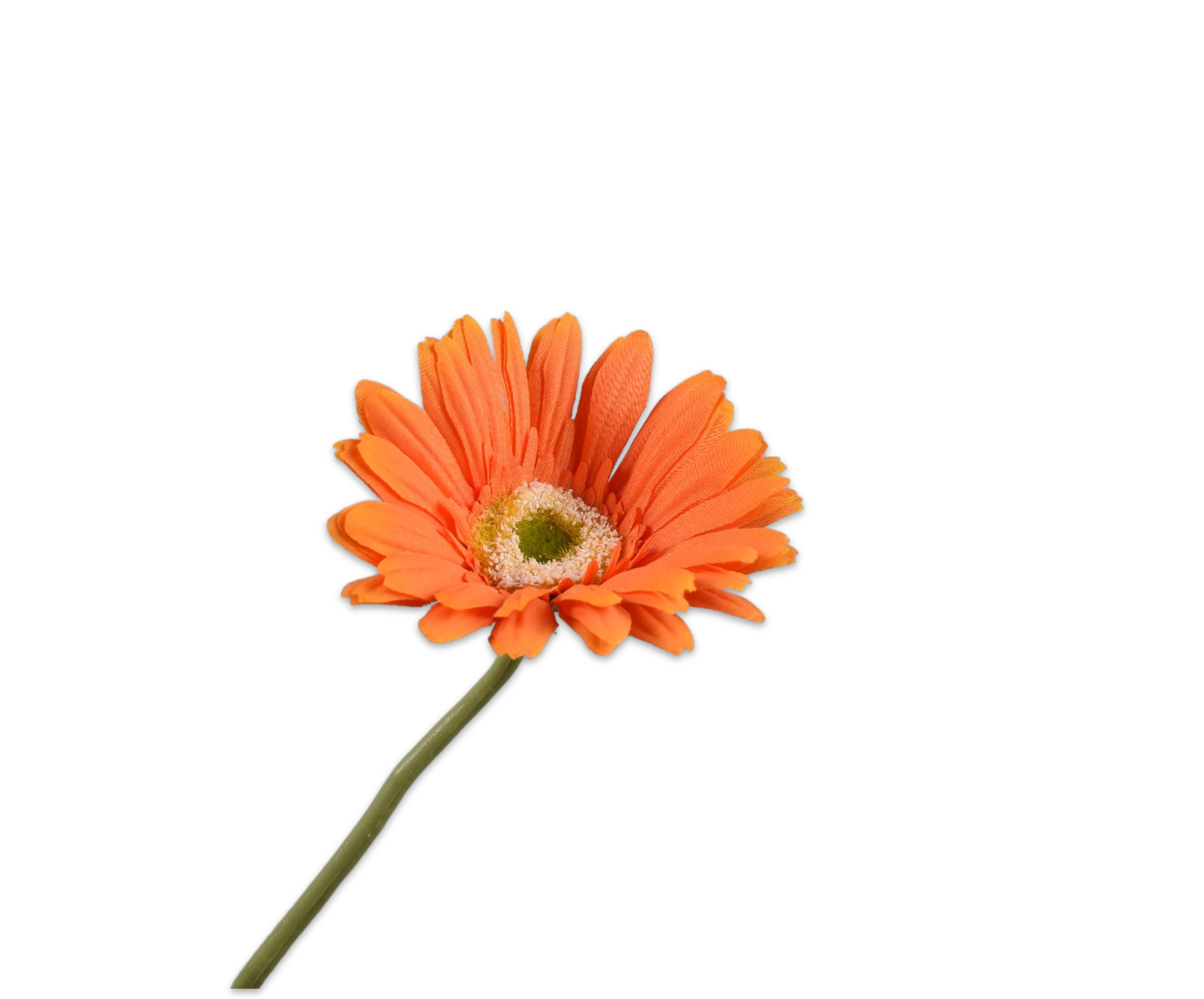 GERBERA STEM ORANGE  61 CM