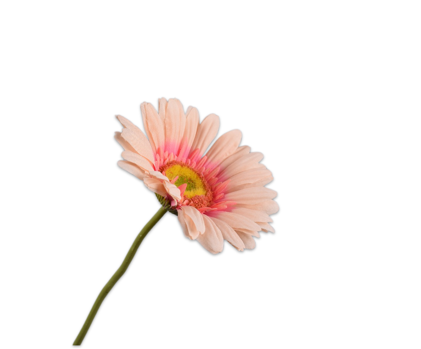 GERBERA STEM PEACH  61 CM