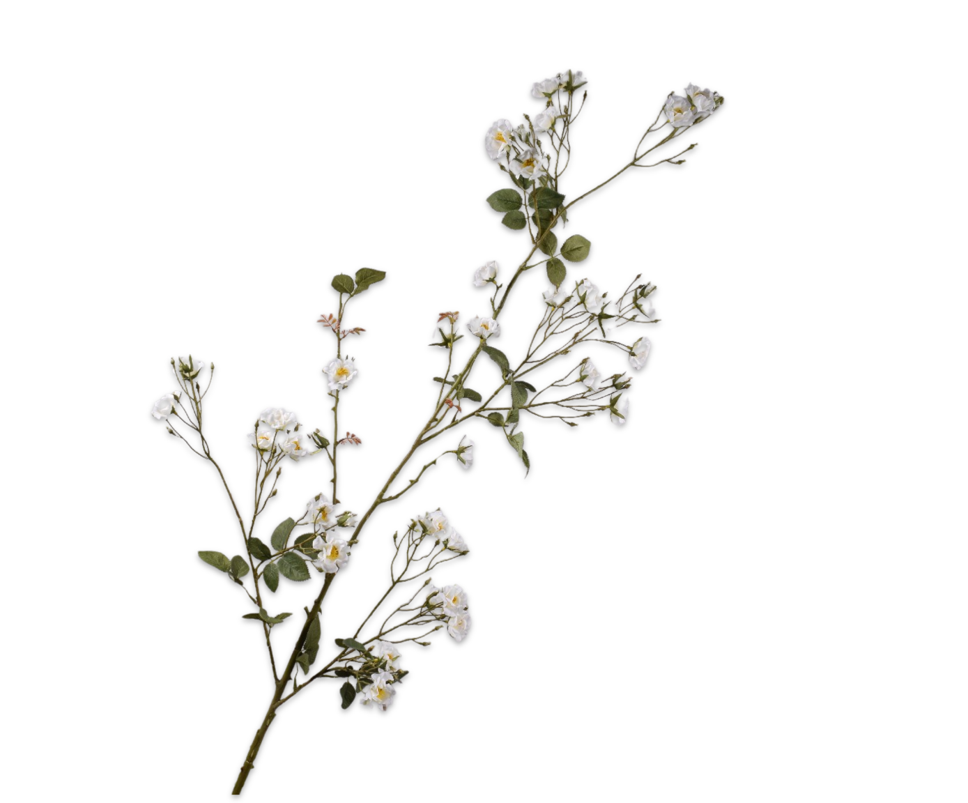 ROOS TAK WIT  150 cm