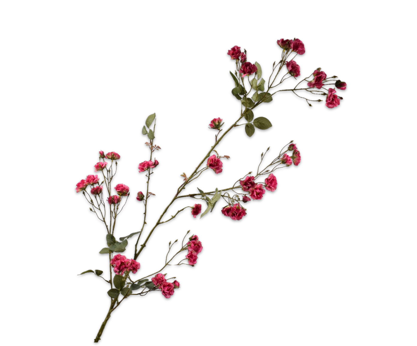 ROOS TAK ROZE DK  150 cm