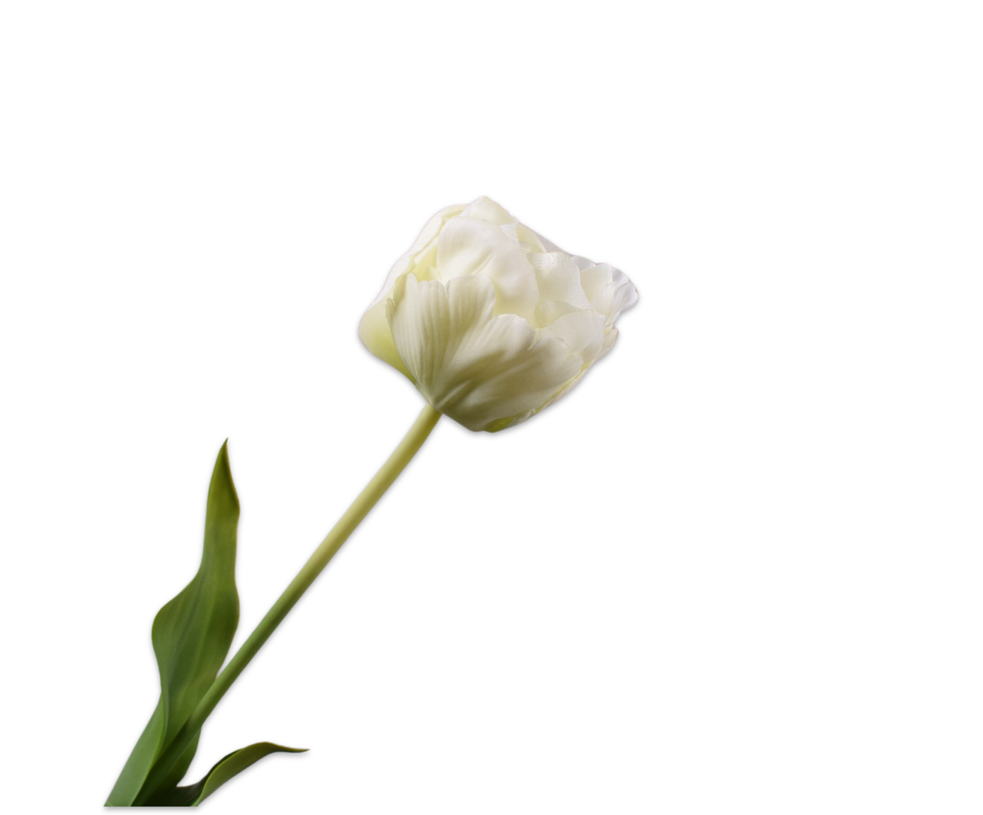 TULP STEEL WIT 66 cm