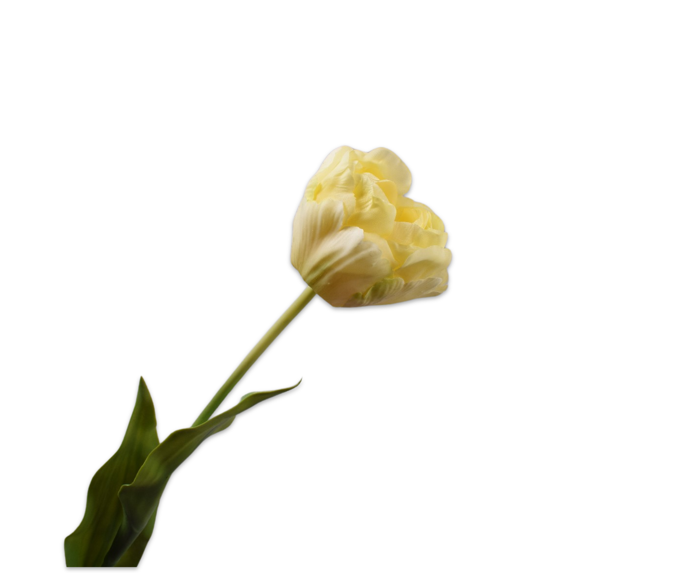 TULIP STEM CR/YL  66 CM