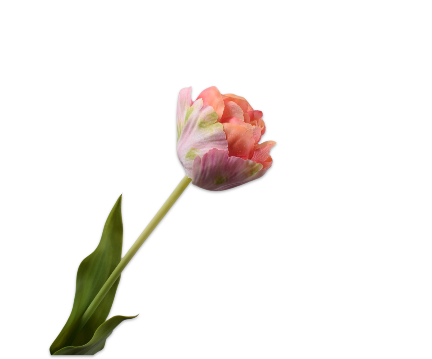 TULIP STEM PNK/GRN  66 CM