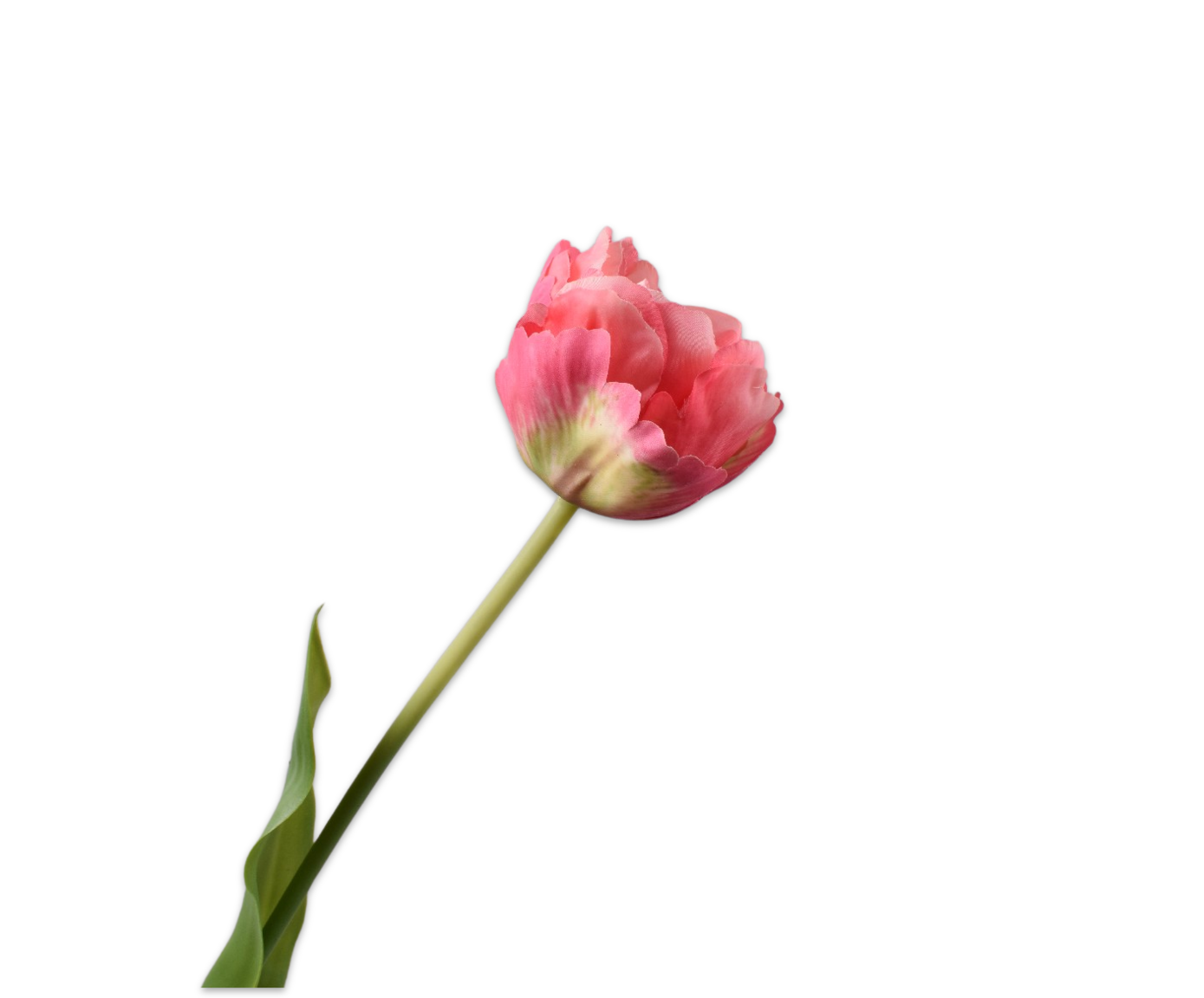 TULIP STEM PNK/CR  66 CM