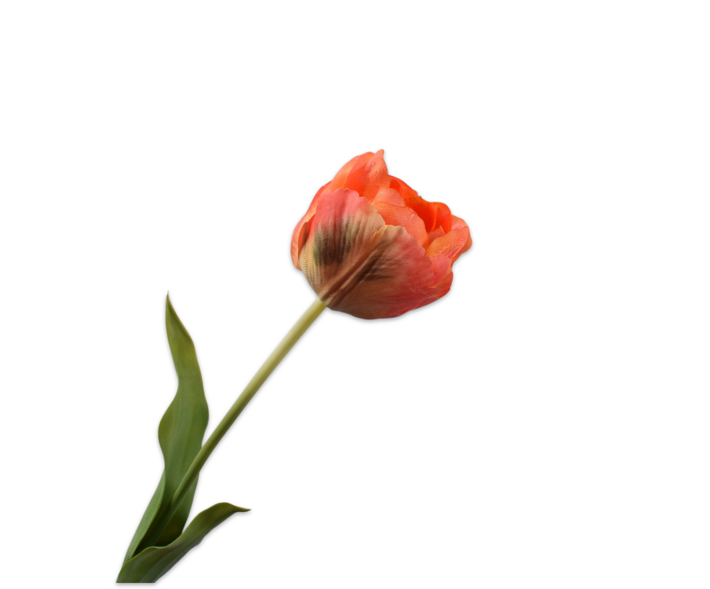 TULIP STEM ORANGE  66 CM