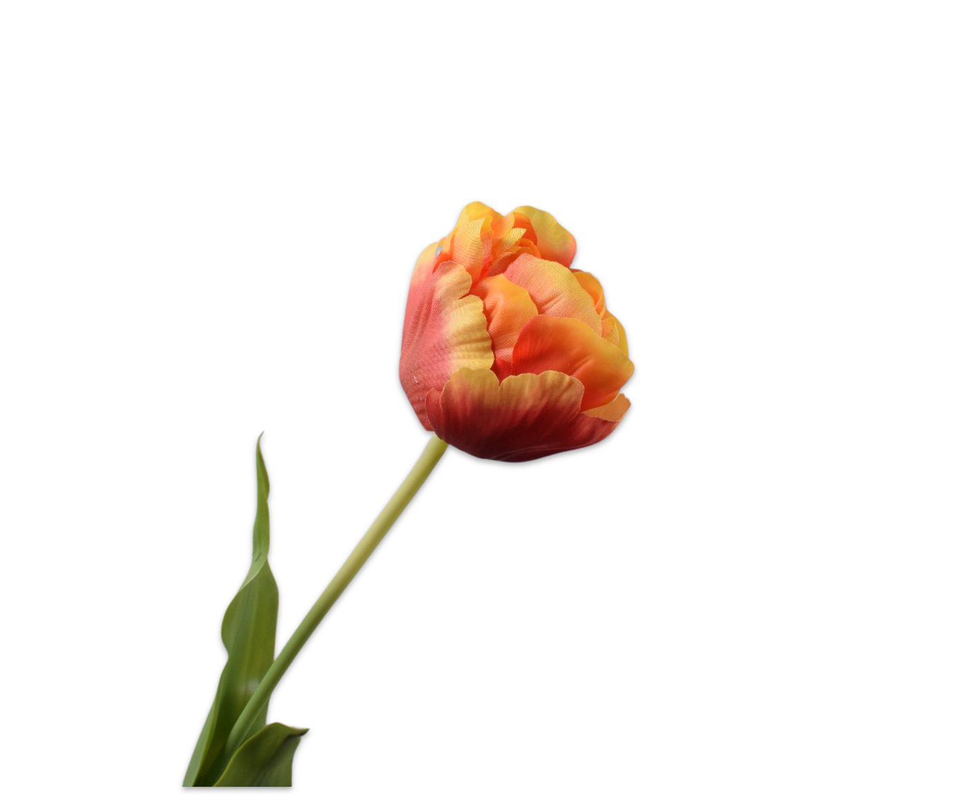 TULIP STEM RD/YL  66 CM