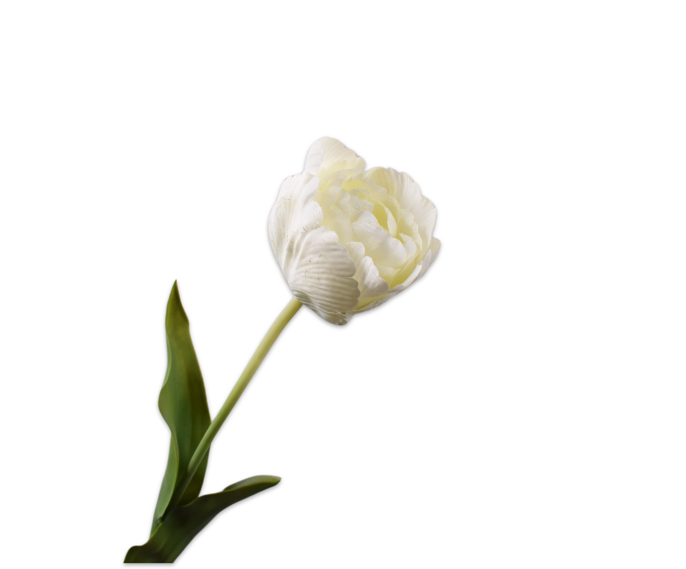 TULIP STEM WHITE  84 CM