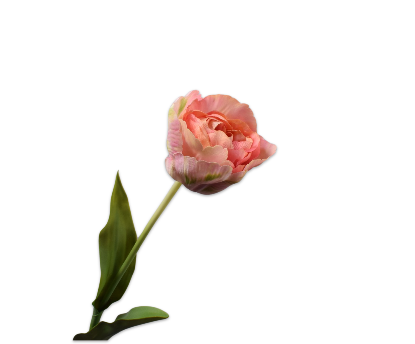 TULP STEEL ROZ/GRN 84 cm