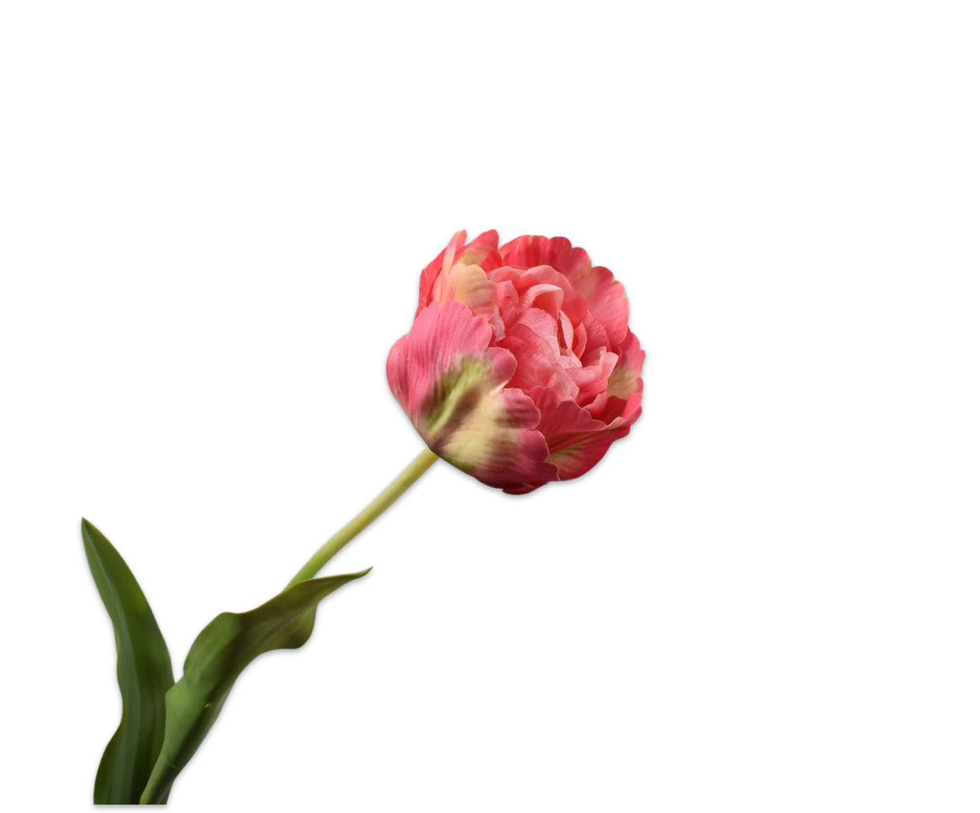 TULP STEEL ROZ/CR 84 cm