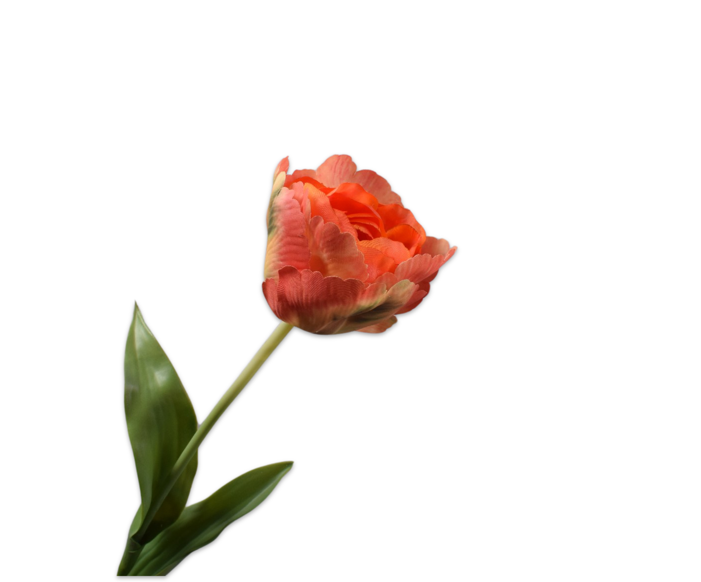 TULP STEEL ORANJE 84 cm