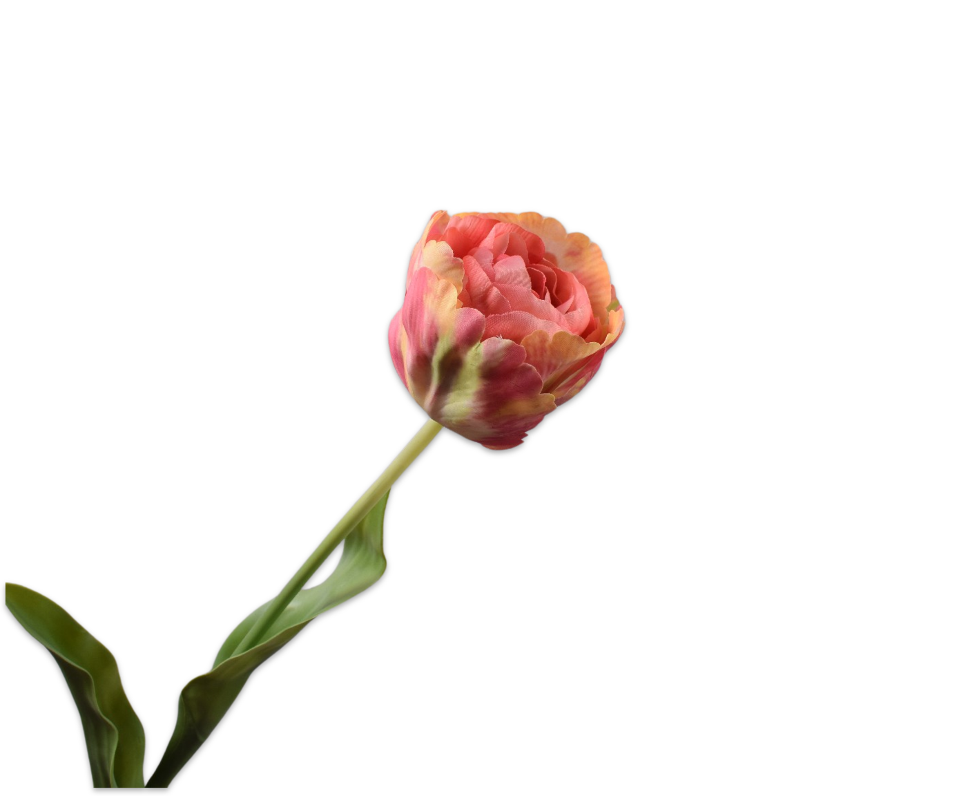 TULP STEEL ROZ/GL 84 cm