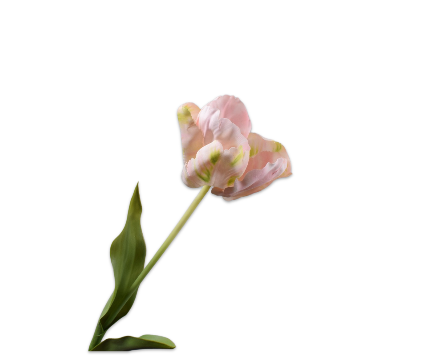 TULP STEEL WT/LVL 84 cm