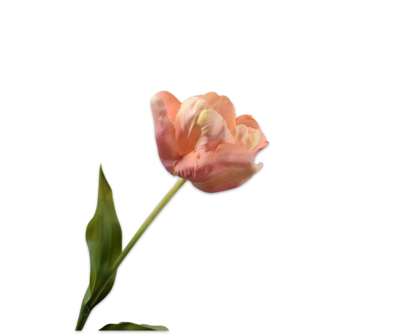 TULP STEEL ROZ/CR 84 cm