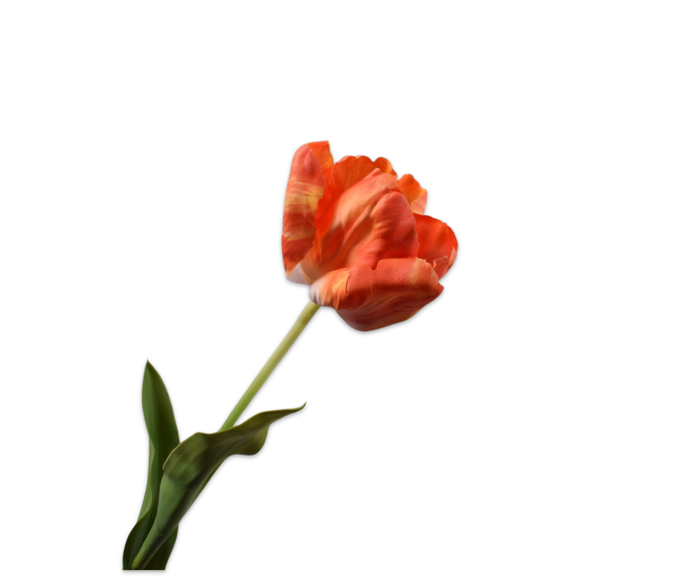 TULIP STEM ORA/YLL  84 CM