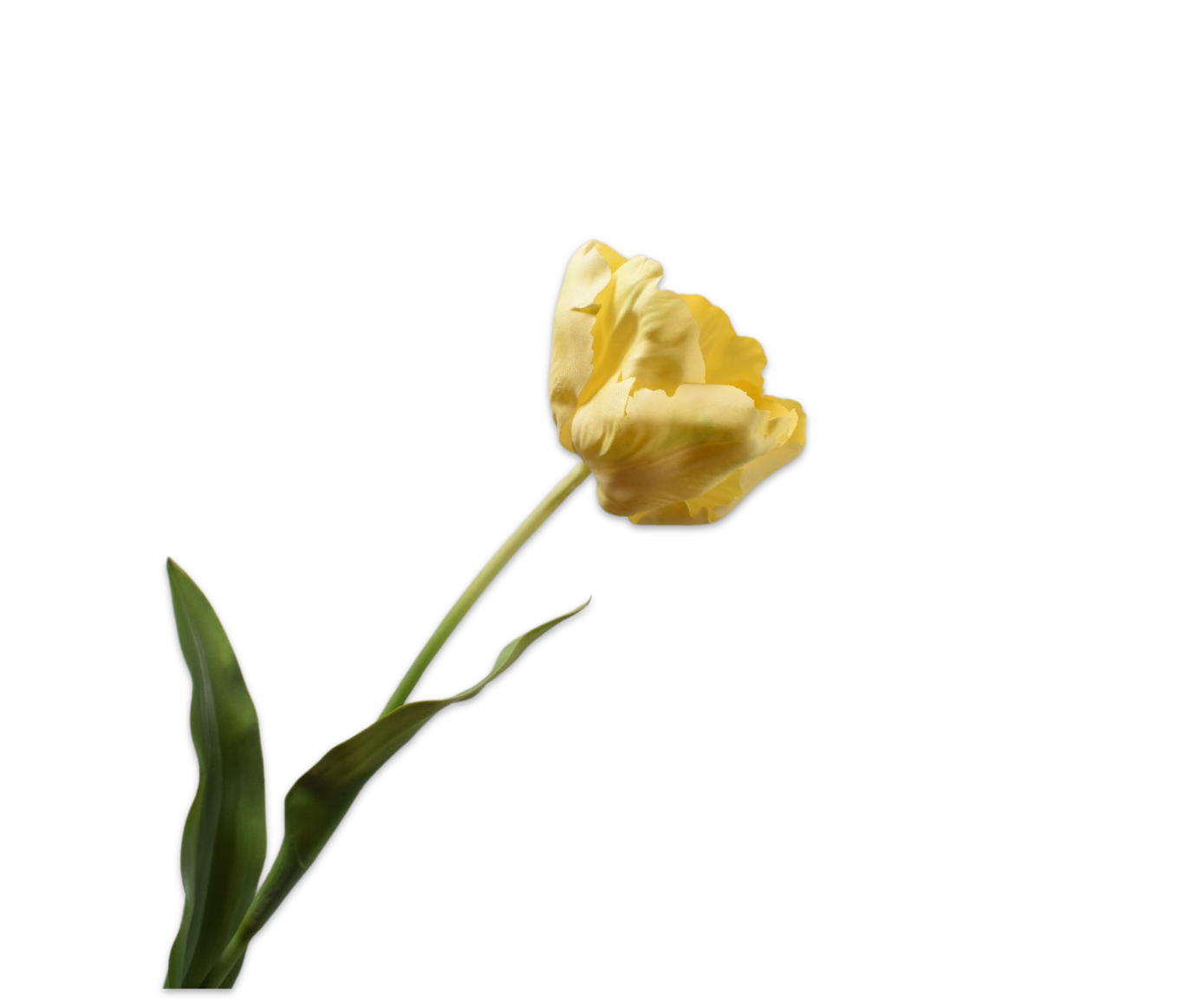 TULIP STEM YELLOW  84 CM