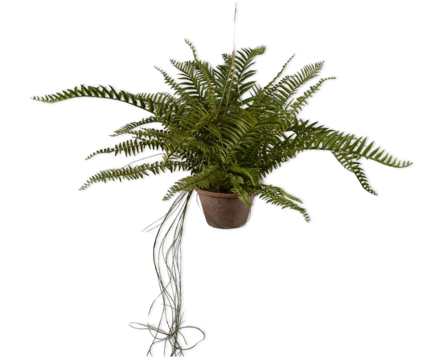 FERN HANG GREEN  76 CM