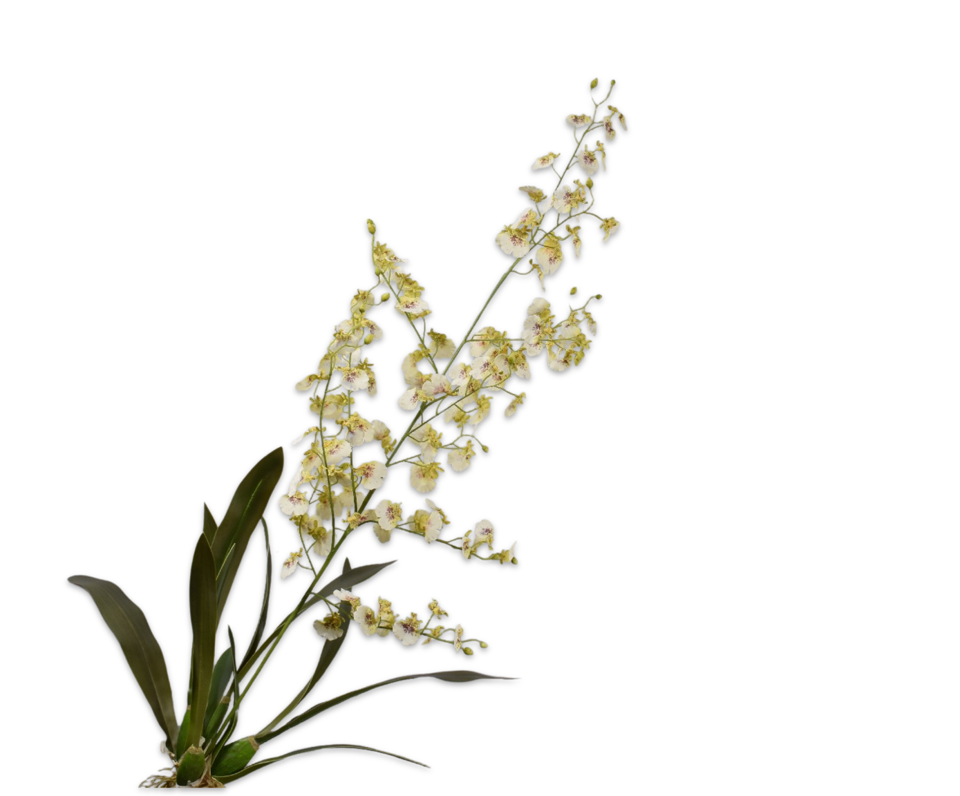 ORCHIDEA RAMO VER CH  116 CM