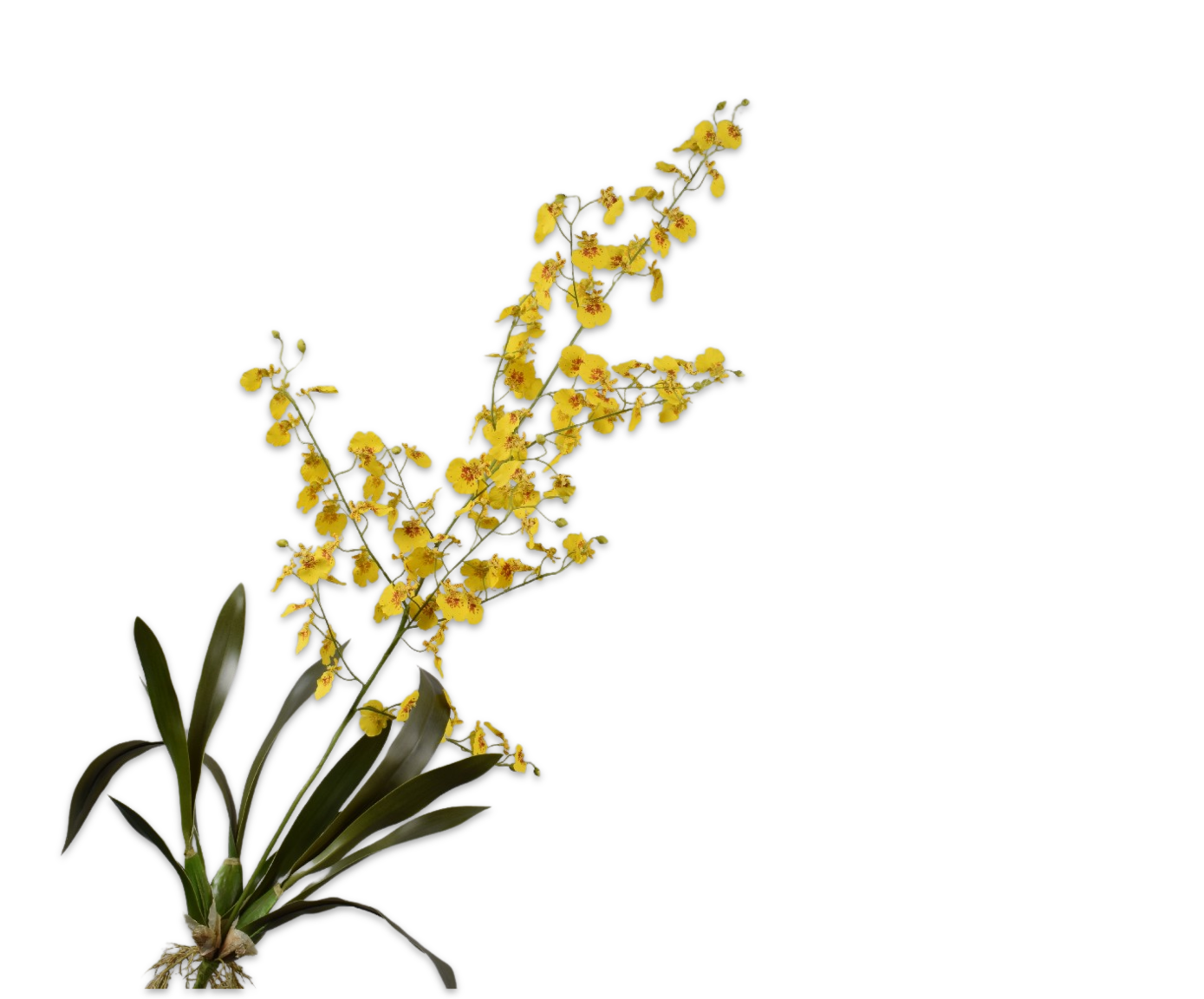 ORQUIDEA RAMA AMARILLO  116 CM