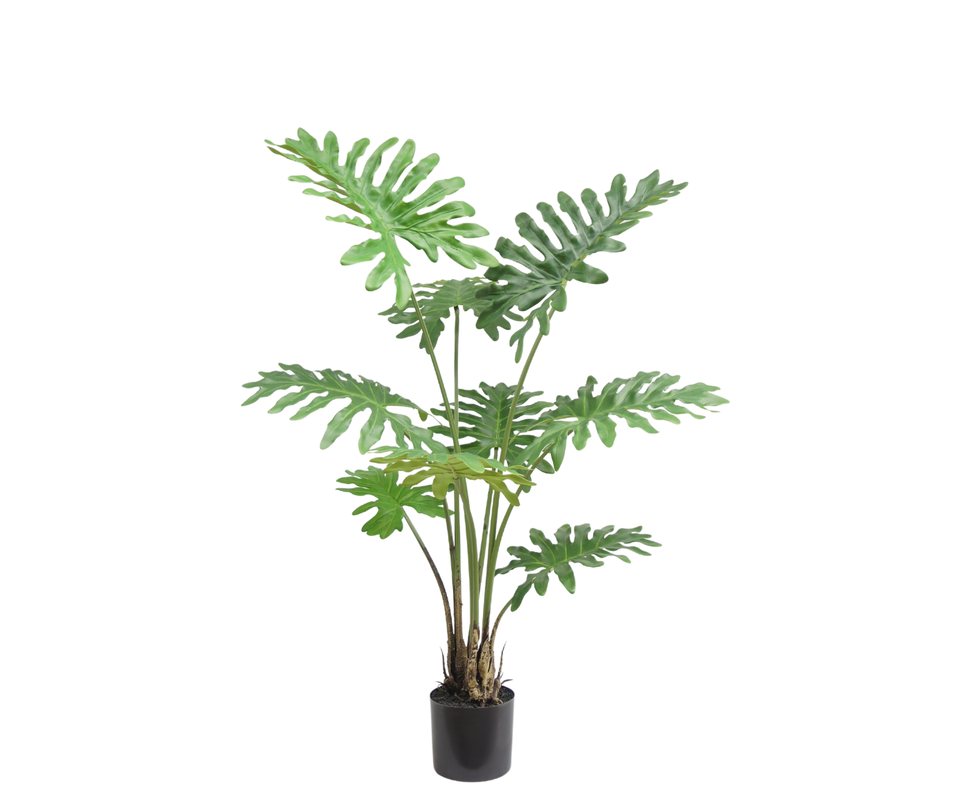 PHILODENDRON I/POT GROEN  115 cm