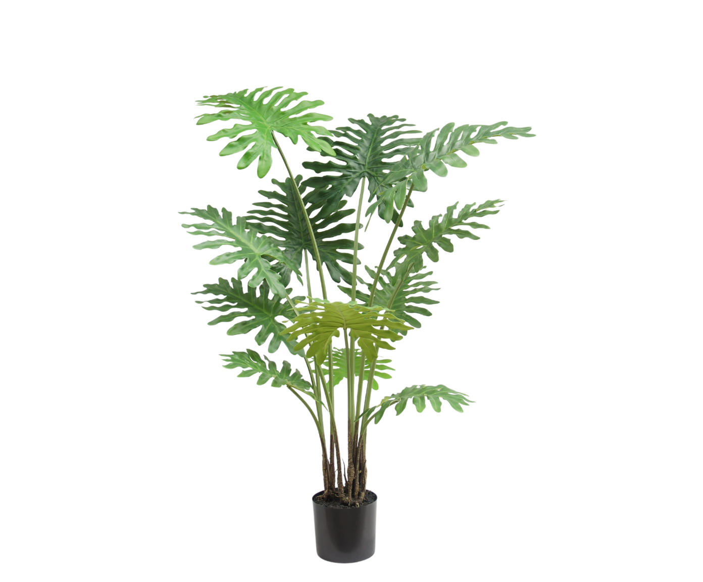 PHILODENDRON I/POT GROEN  130 cm