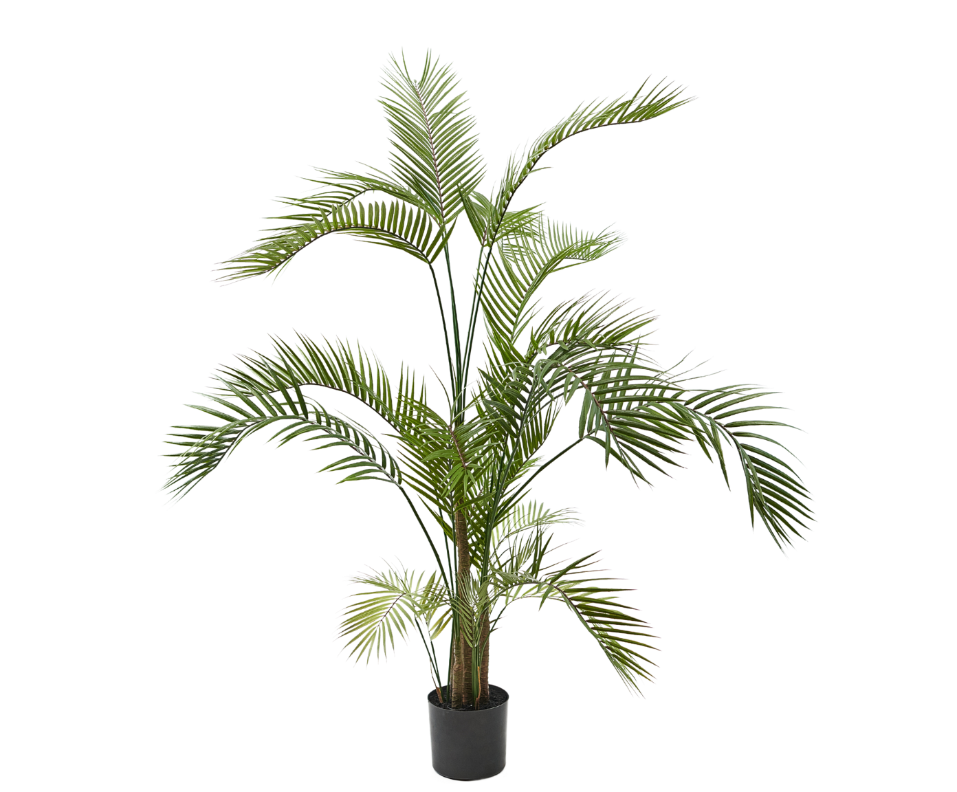 PALM I/POT GROEN  150 cm