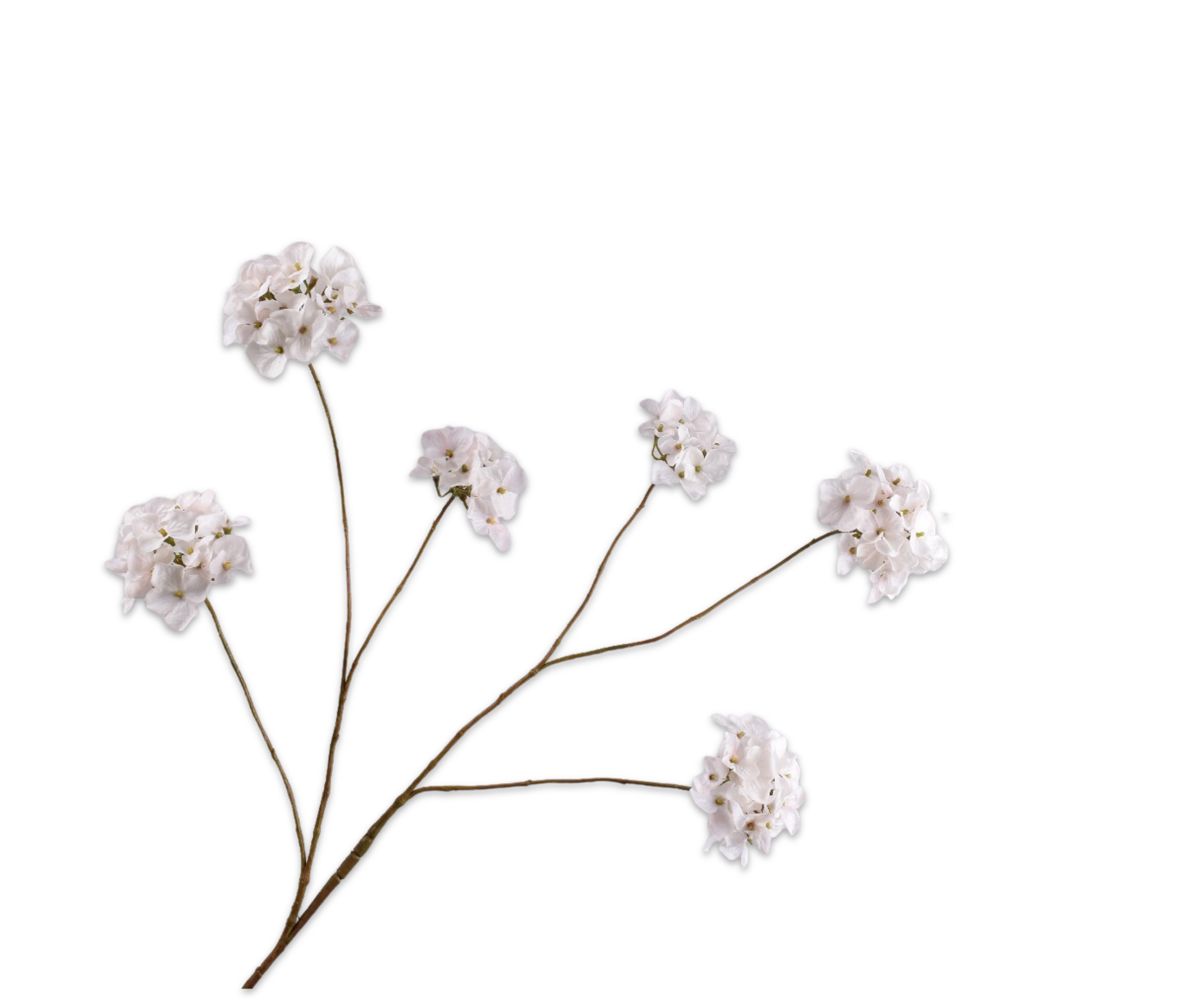 HYDRANGEA SPRAY CREAM RT  121 CM