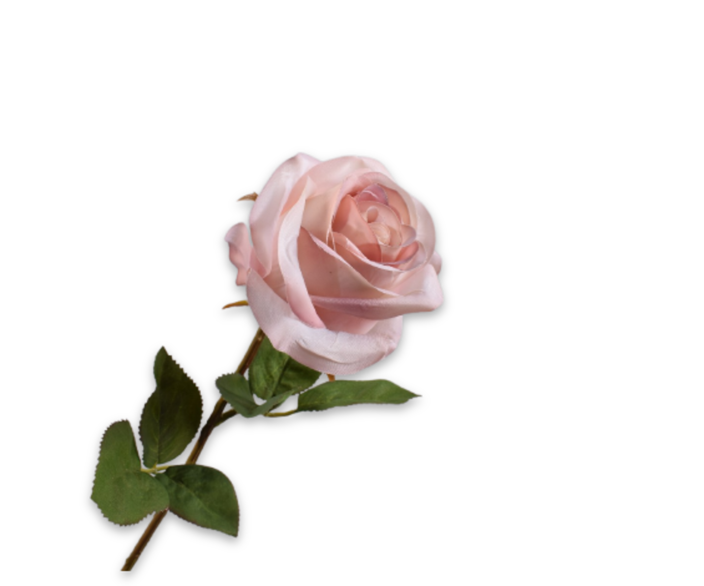 ROOS STEEL MAUVE RT 57 cm