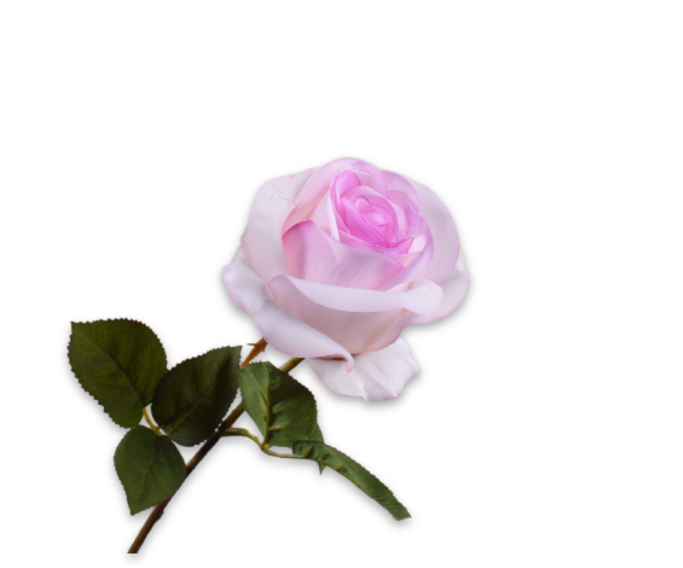 ROOS STEEL ROZE RT 57 cm