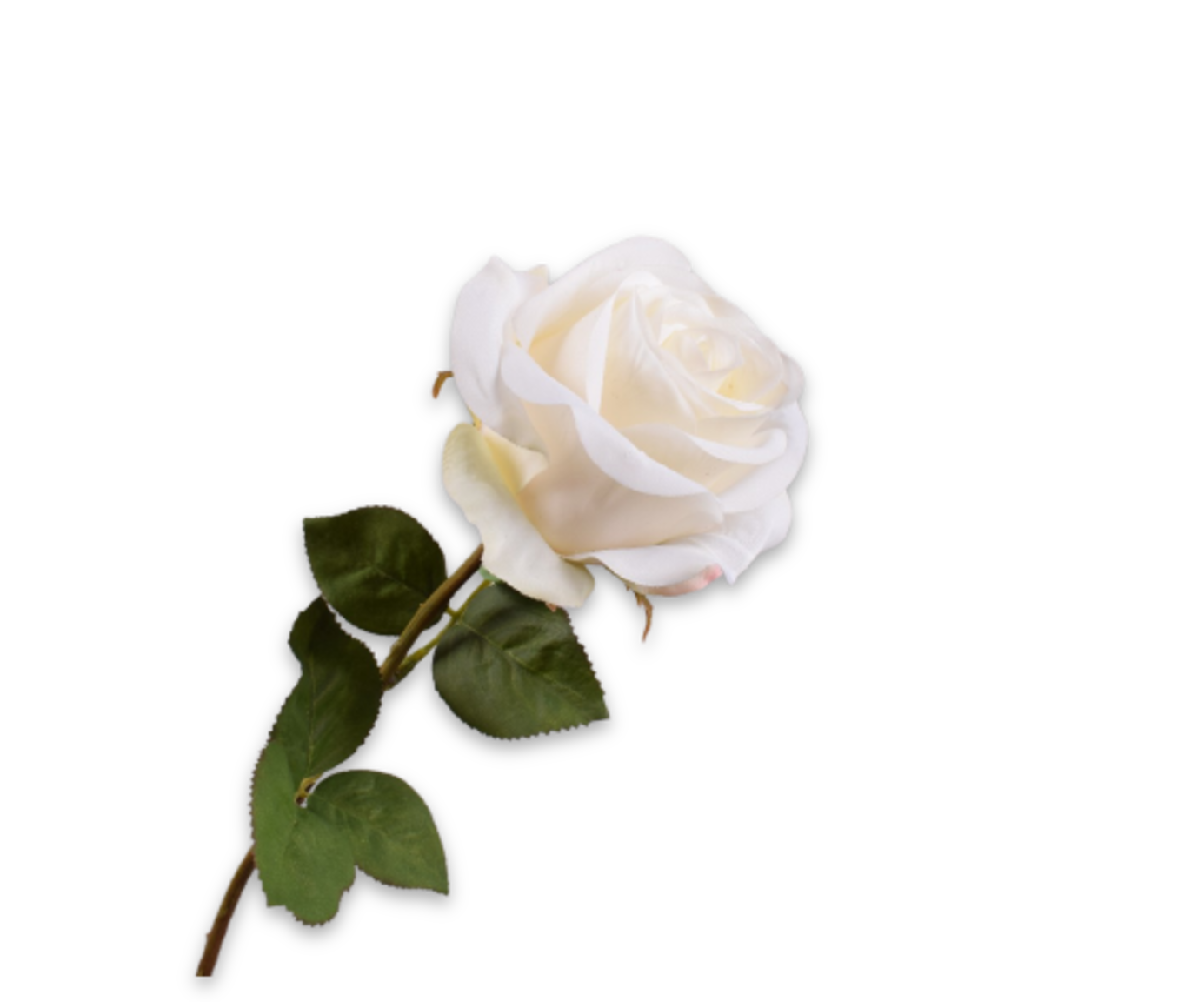 ROOS STEEL CREME RT 57 cm