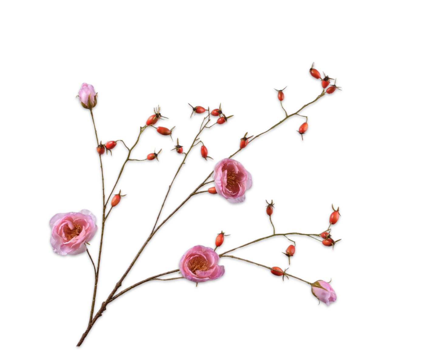 ROZENBOTTEL TAK ROZE LT RT 106 cm