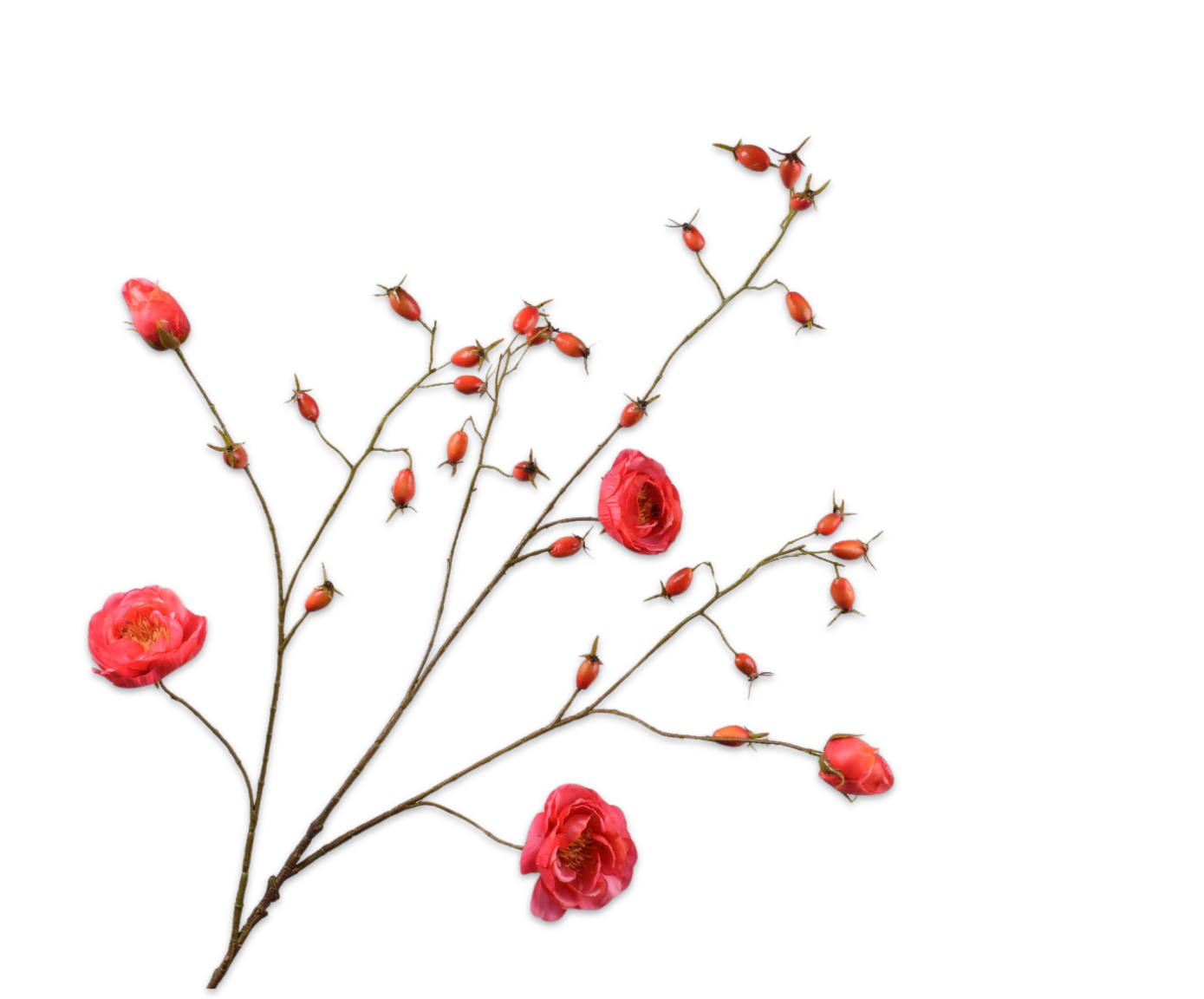 ROZENBOTTEL TAK ROZE DK RT 106 cm